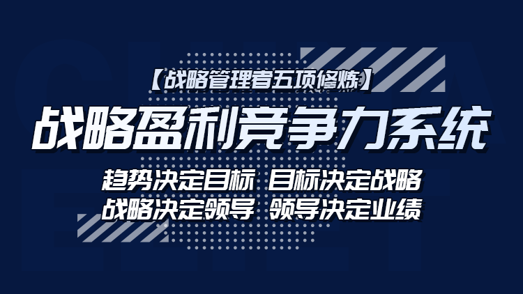 战略盈利竞争力系统—北京站